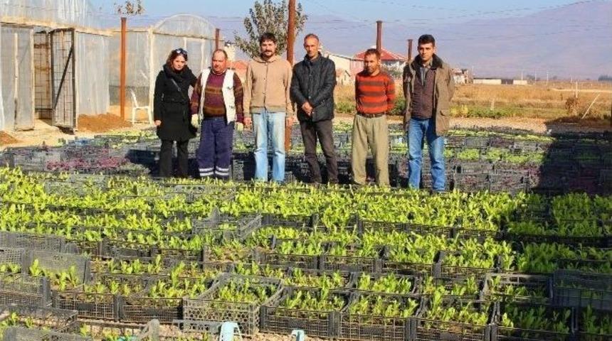 Daha Yeşil Bir Alaşehir İ&ccedil;in &Ccedil;alışıyorlar