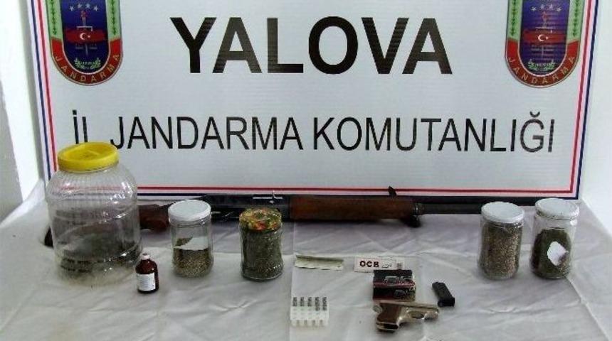 Yalova Jandarmasından Uyuşturucu Ve Ka&ccedil;ak Mazot Operasyonu