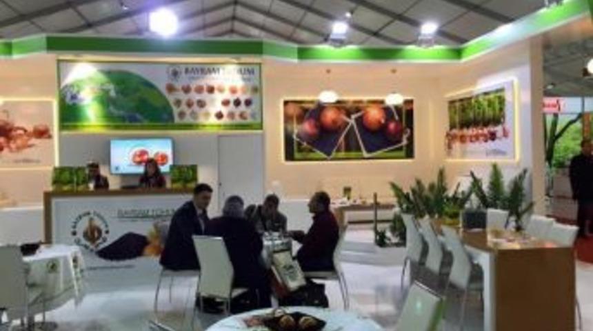 Polatlı Soğan Tohumu D&uuml;nya Pazarında