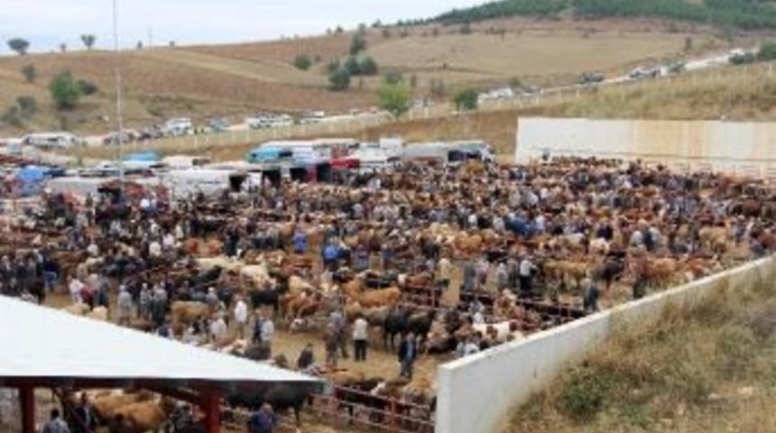 Kastamonu Hayvan Pazarı&rsquo;nda &Uuml;st D&uuml;zey &Ouml;nlem Alındı