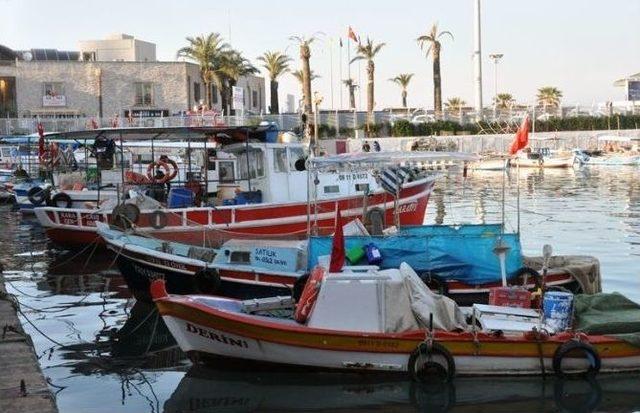 Kuşadası’nda Liman Ve Balıkçı Barınağı Tartışması