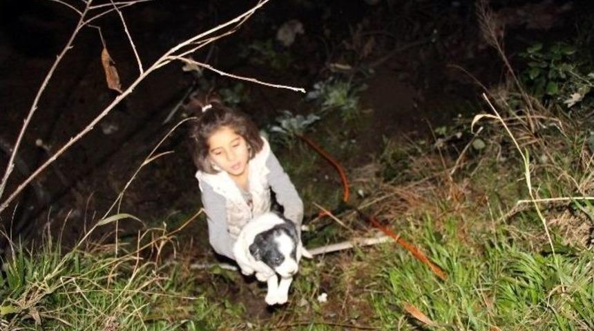 Minik Kız, Yıkılmak &Uuml;zere Olan Evde Mahsur Kalan 3 Yavru K&ouml;peği Kurtardı
