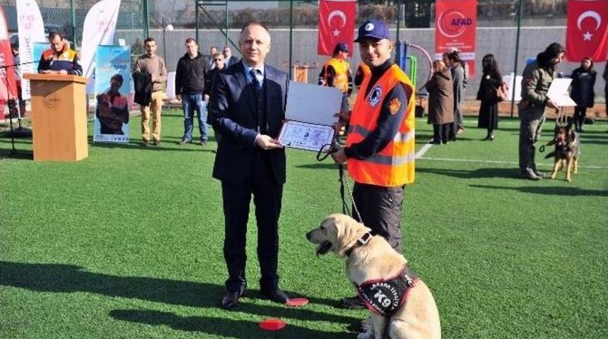Ankara İtfaiyesi&rsquo;nin Şampiyon K-9 K&ouml;pekleri