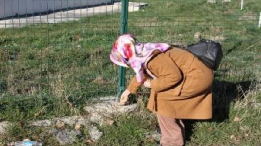 Gen&ccedil;ler Sokak Hayvanları İ&ccedil;in Doğaya Yem Bıraktı