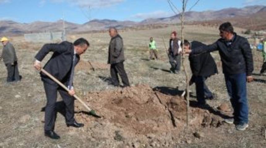 Başkan Tutal, &ldquo;hedefimiz 20 Bin Fidanı Toprakla Buluşturmak&rsquo;&rsquo;