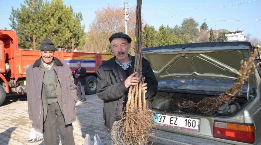 Han&ouml;n&uuml;&rsquo;de &Ccedil;ift&ccedil;ilere 5 Liraya Ceviz Fidanı Dağıtıldı