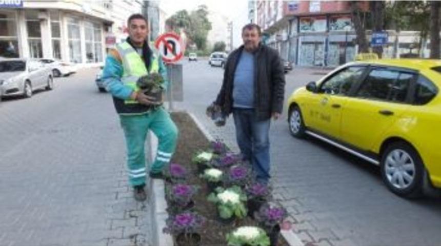 Burhaniye&rsquo;de Caddelere S&uuml;s Lahanası