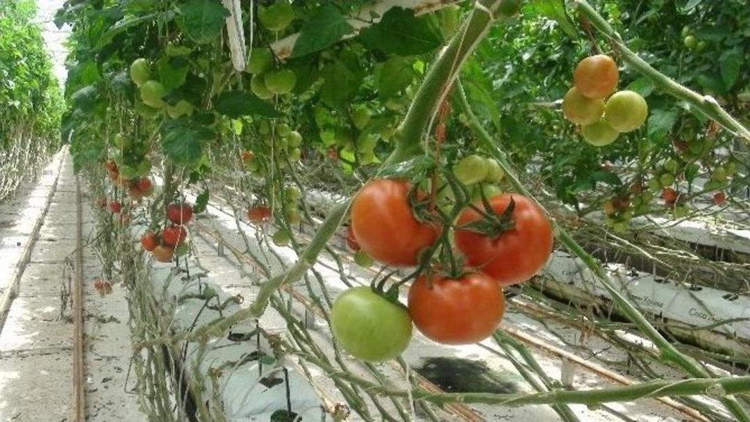 Sera-bir Y&ouml;netim Kurulu Başkanı M&uuml;sl&uuml;m Yanmaz: