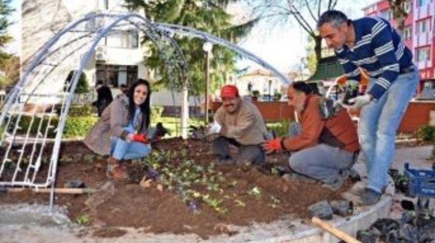 G&ouml;lbaşı İl&ccedil;esinde Kışlık &Ccedil;i&ccedil;ek Dikimi Başladı