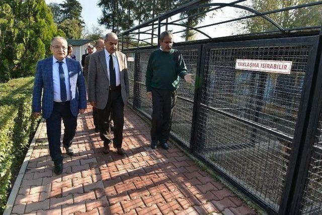 Konyaaltı Barınağı, Veterinerlere Örnek Gösterildi