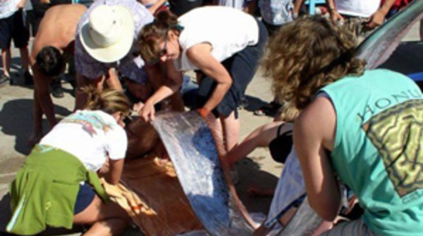 Bu balık depremin habercisi mi?