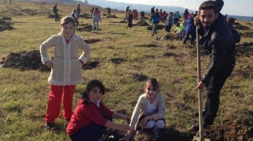 Trabzon&rsquo;da Ağa&ccedil;landırma Seferberliği Başlatıldı