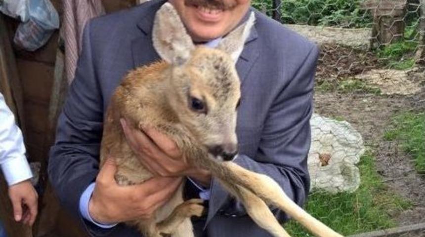 Validen Karaca &Ccedil;ağrısı