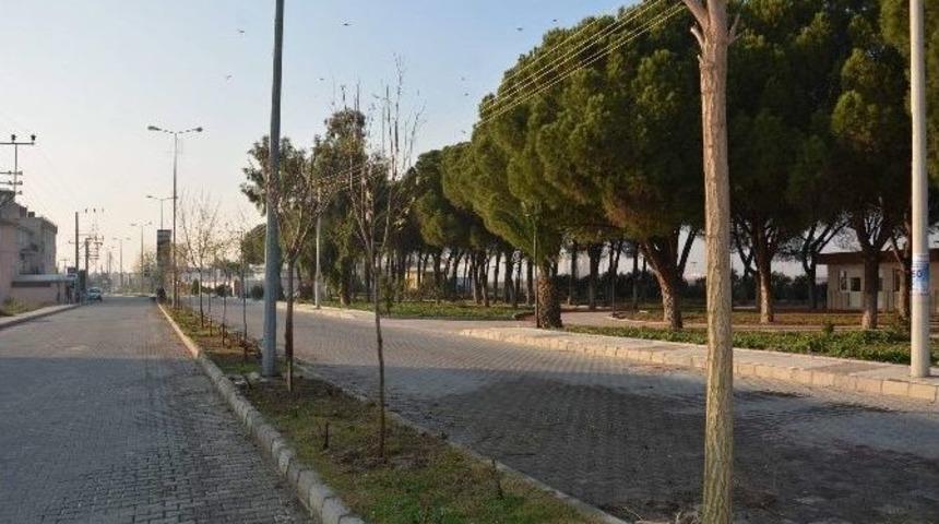 Şehzadeler &rsquo;den Ağa&ccedil;landırma Seferberliği