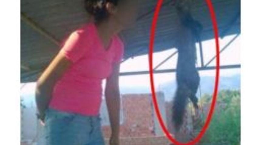 (&ouml;zel) Kediyi Asıp G&ouml;zdağı Veren Liseli Kıza Bakın Ka&ccedil; Para Ceza Geldi