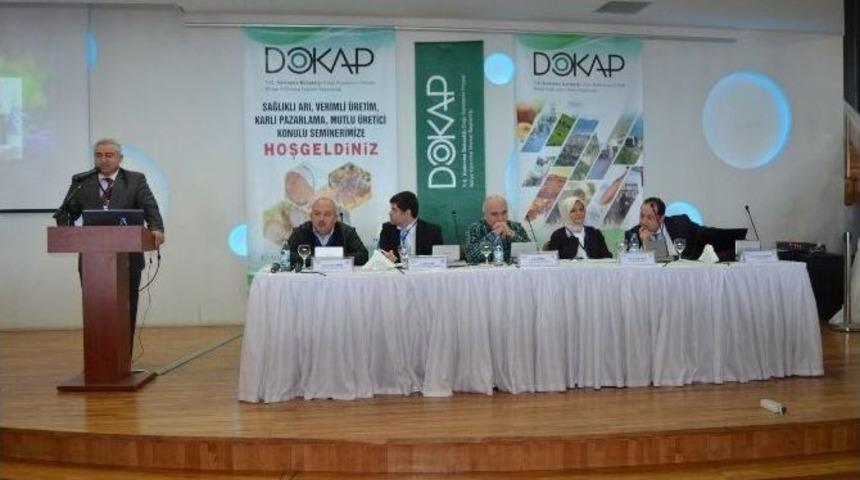 T&uuml;rkiye&rsquo;de Yılda 102 Bin Ton Bal &Uuml;retiliyor