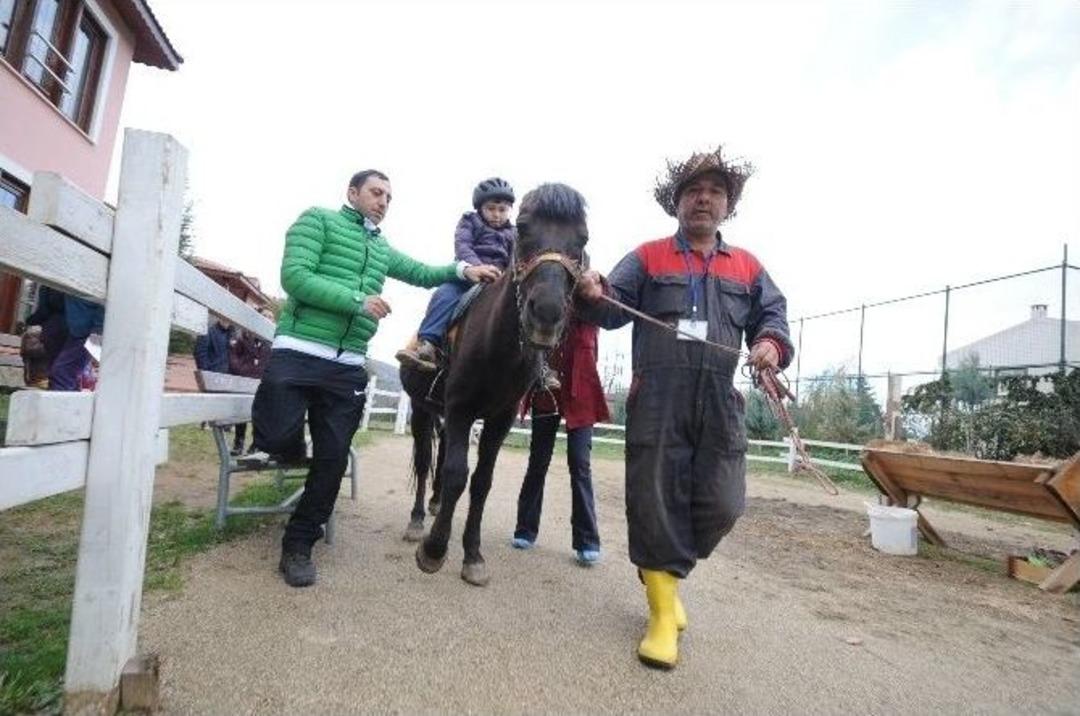 (&ouml;zel Haber) Engellilere At İle Terapi