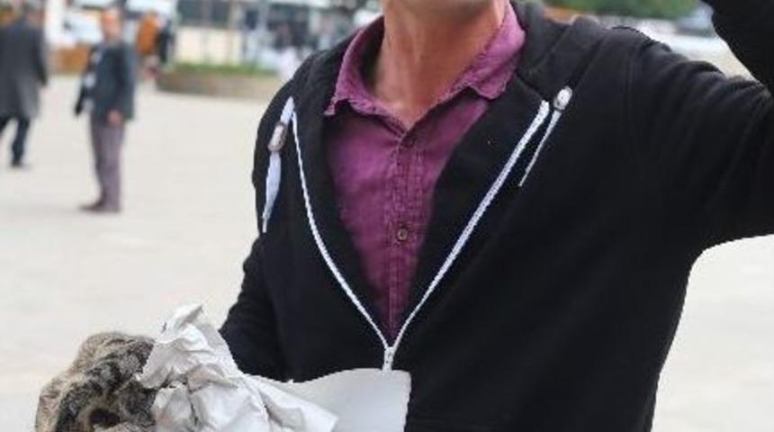 Hayvansever &Ouml;ğretmenin Ambulans İsyanı