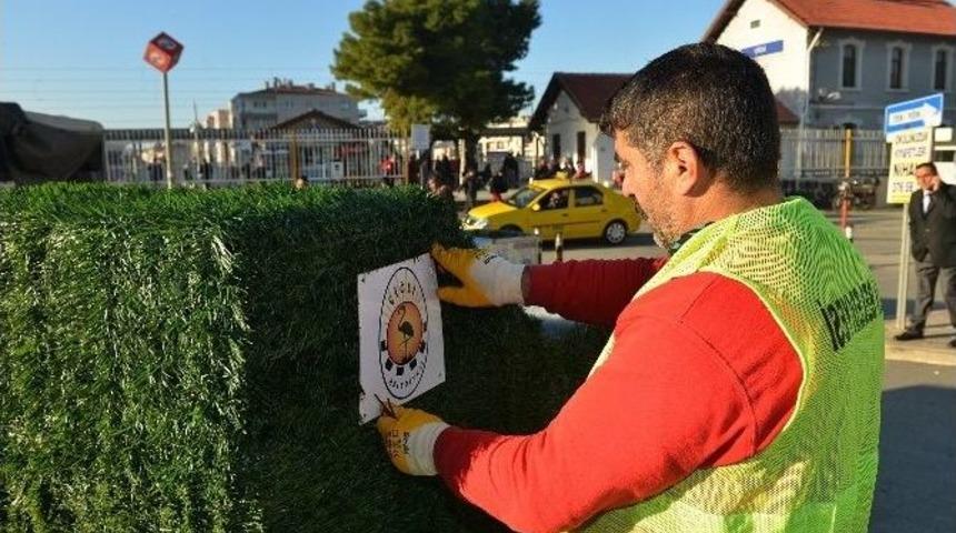 &Ccedil;iğli&rsquo;de &Ccedil;&ouml;p Konteynerleri Yeşilleniyor