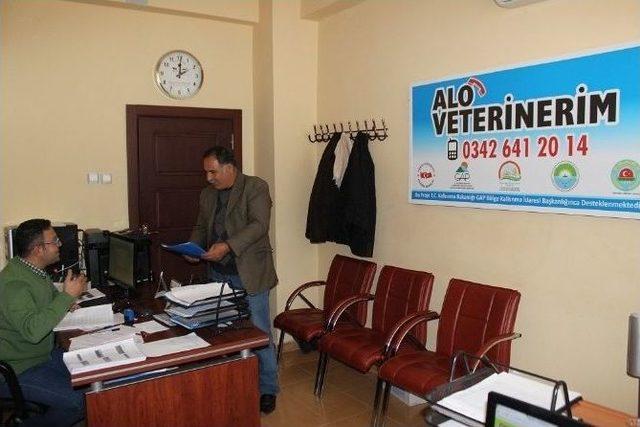 “alo Veterinerim” Projesi Başladı