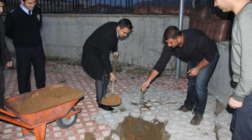 Sincik Kaymakamı Ağa&ccedil; Dikti