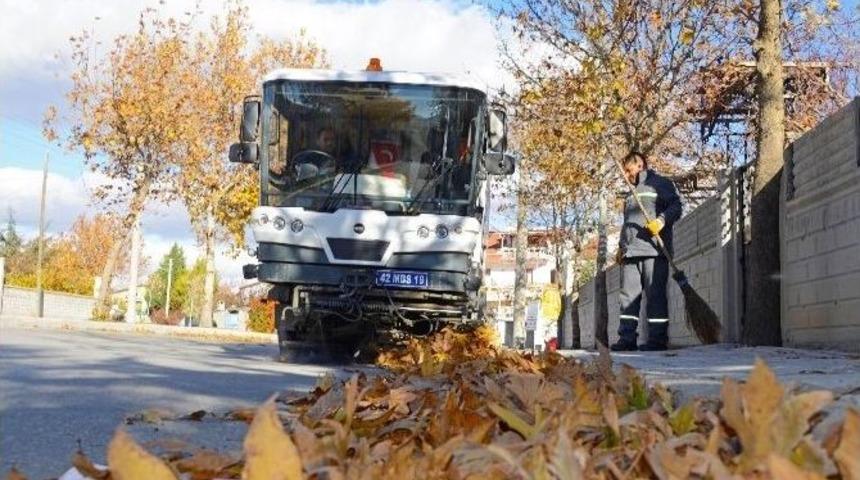 Meram&rsquo;da Yaprak Temizliği