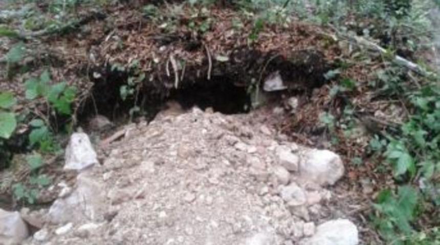 Define Avcıları Suçüstü Yakalandı