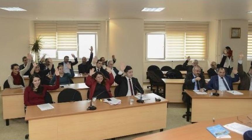 G&uuml;lsuyu Ve G&uuml;lensu İ&ccedil;in Tarihi G&uuml;n