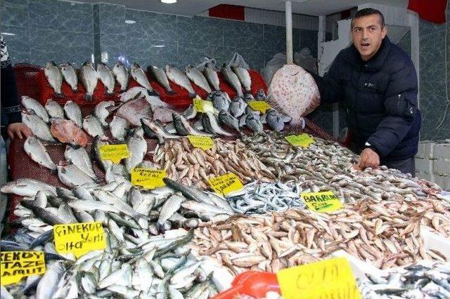 Samsun’da Balık Fiyatları Yarı Yarıya Düştü