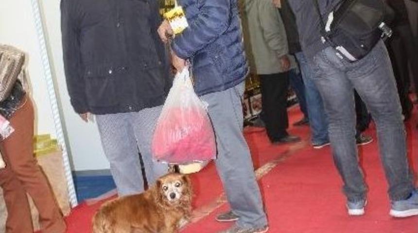 Gıda Fuarını Gezen K&ouml;pek Sucuk Reyonun Başından Ayrılmak İstemedi