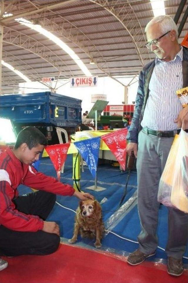 Gıda Fuarını Gezen Köpek Sucuk Reyonun Başından Ayrılmak İstemedi