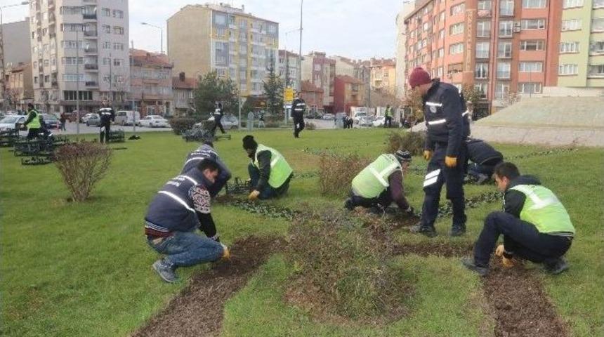 B&uuml;y&uuml;kşehir Belediyesi Ekiplerinin Peyzaj D&uuml;zenlemeleri