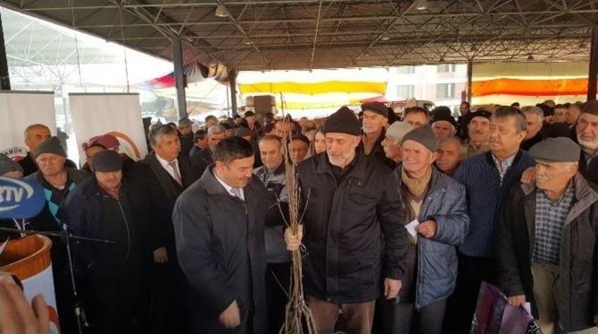 Karab&uuml;k&rsquo;te 23 Bin Meyve Fidan Dağıtıldı