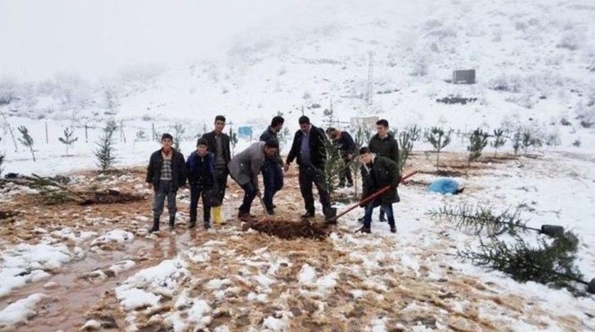 &Ouml;ğretmen Ve &Ouml;ğrenciler Fidan Dikti