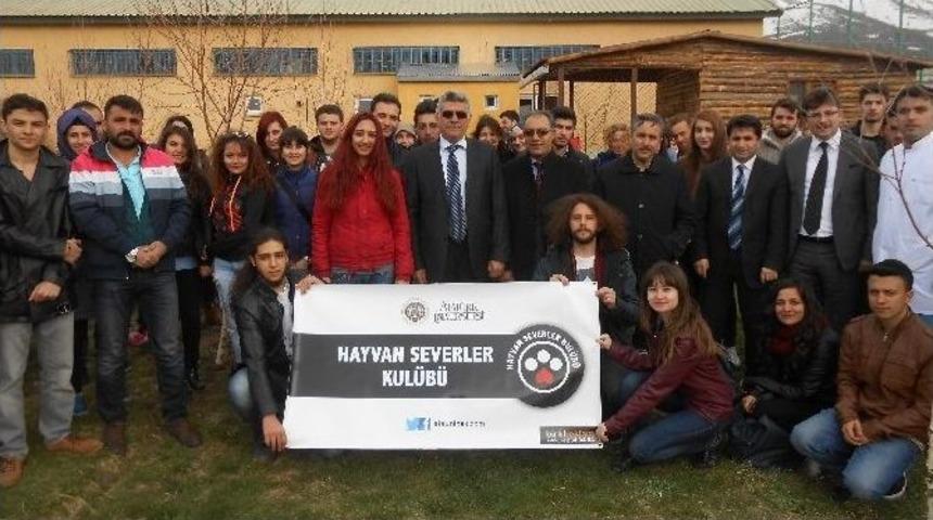 B&uuml;y&uuml;kşehir&rsquo;in Hayvan Bakımevi 2015&rsquo;te Ziyaret&ccedil;i Akınına Uğradı