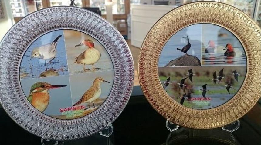 Kuş Cenneti Samsun&rsquo;un Markası Oluyor