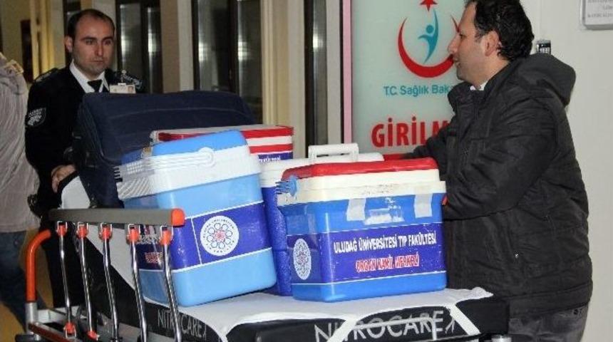 Organlarıyla 3 Kişiye Umut Oldu