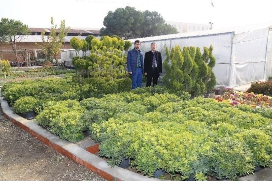 Daha Yeşil Bir Turgutlu İ&ccedil;in &Ccedil;alışıyorlar