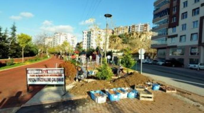 Ke&ccedil;i&ouml;ren Lale Soğanlarıyla Donatılıyor