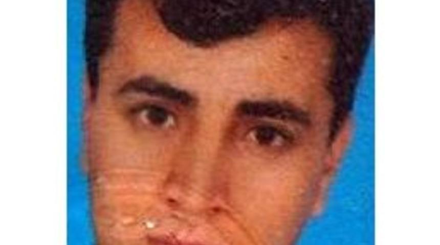 Ağaca Asılı Erkek Cesedi Bulundu