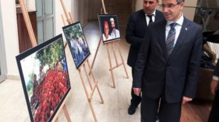 Okul Duvarlarını Fotoğraflar S&uuml;sledi