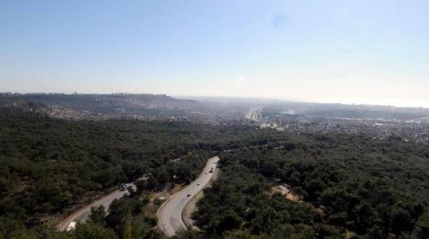 Kepezpark Orman Projesi Kamuoyu İle Paylaşılacak