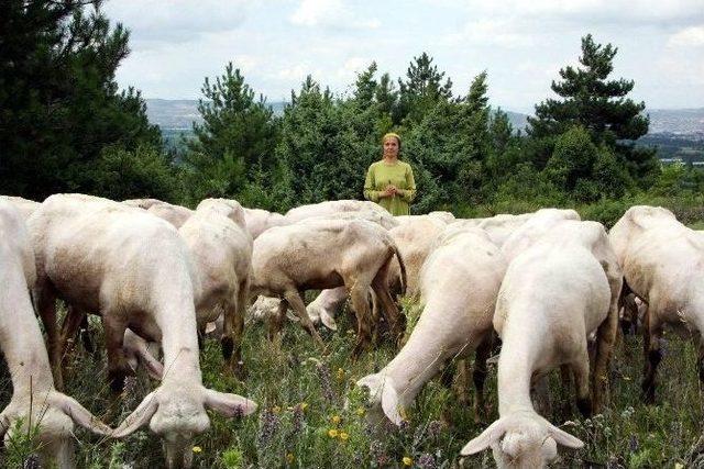 Bursa’daki Meralar Islah Ediliyor