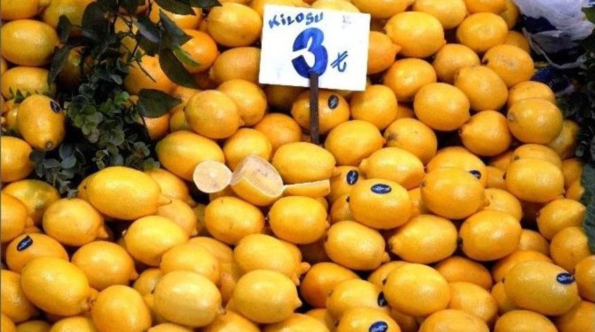 Limonda Don Tehlikesi Esnafı Tedirgin Ediyor
