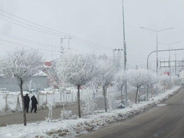 Malazgirt’te Sibirya Soğukları