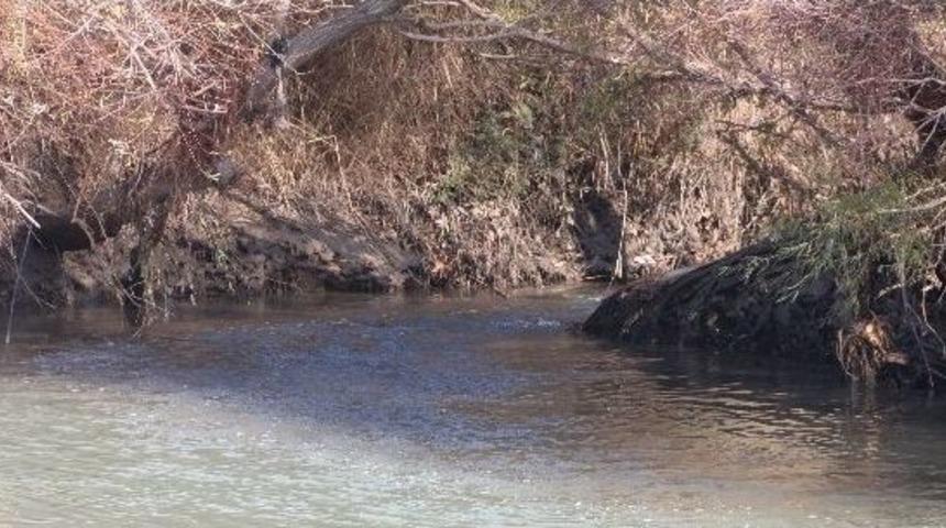 Zeytinyağı Fabrikaları G&ouml;ksu Irmağını Kirletiyor