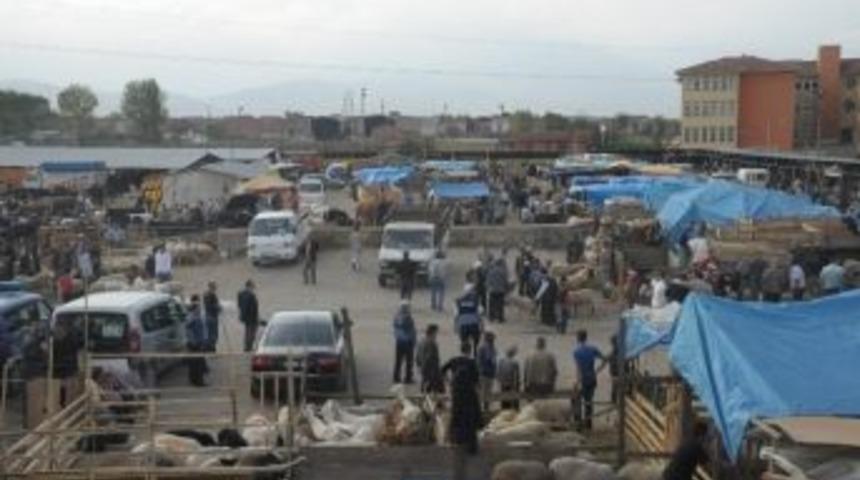 İneg&ouml;l Hayvan Pazarı İkinci Emre Kadar Kapalı