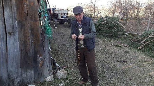 Köpek Hırsızları Vatandaşları Bezdirdi