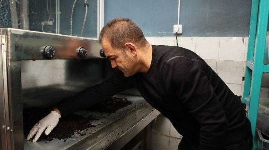 Atat&uuml;rk &Uuml;niversitesi Su &Uuml;r&uuml;nleri Fak&uuml;ltesi, T&uuml;rkiye&rsquo;de İlk Defa Canlı Yem Yetiştirdi