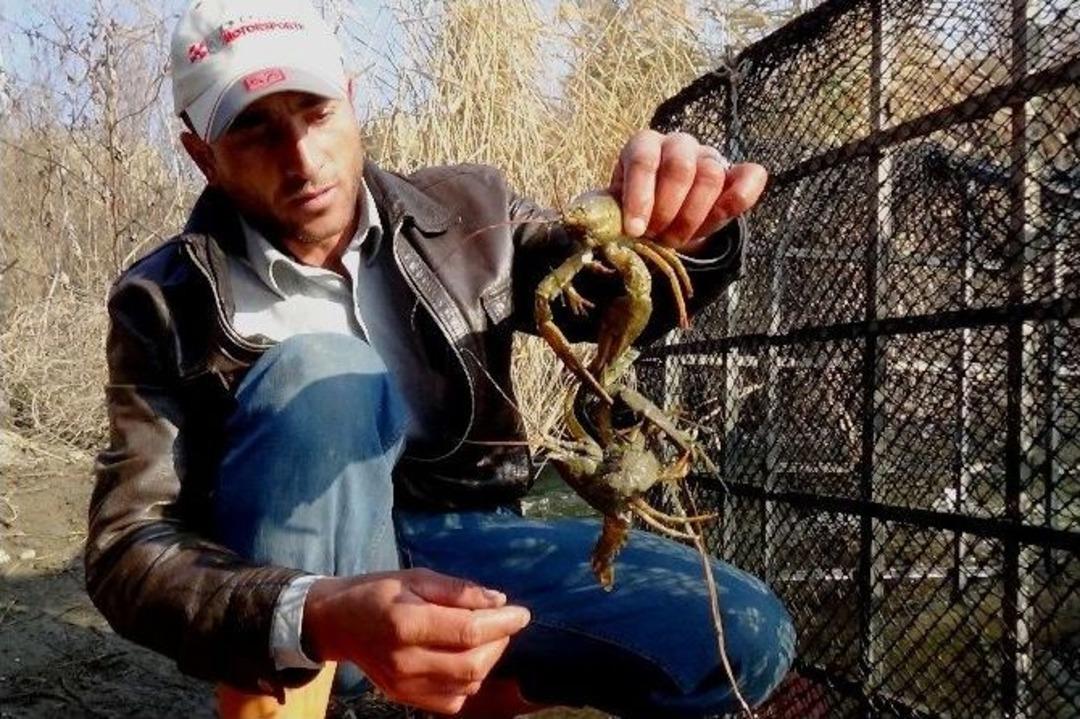 (&ouml;zel Haber) Karasu Sazlığı K&ouml;yl&uuml;lerin Ekmek Kapısı Oldu